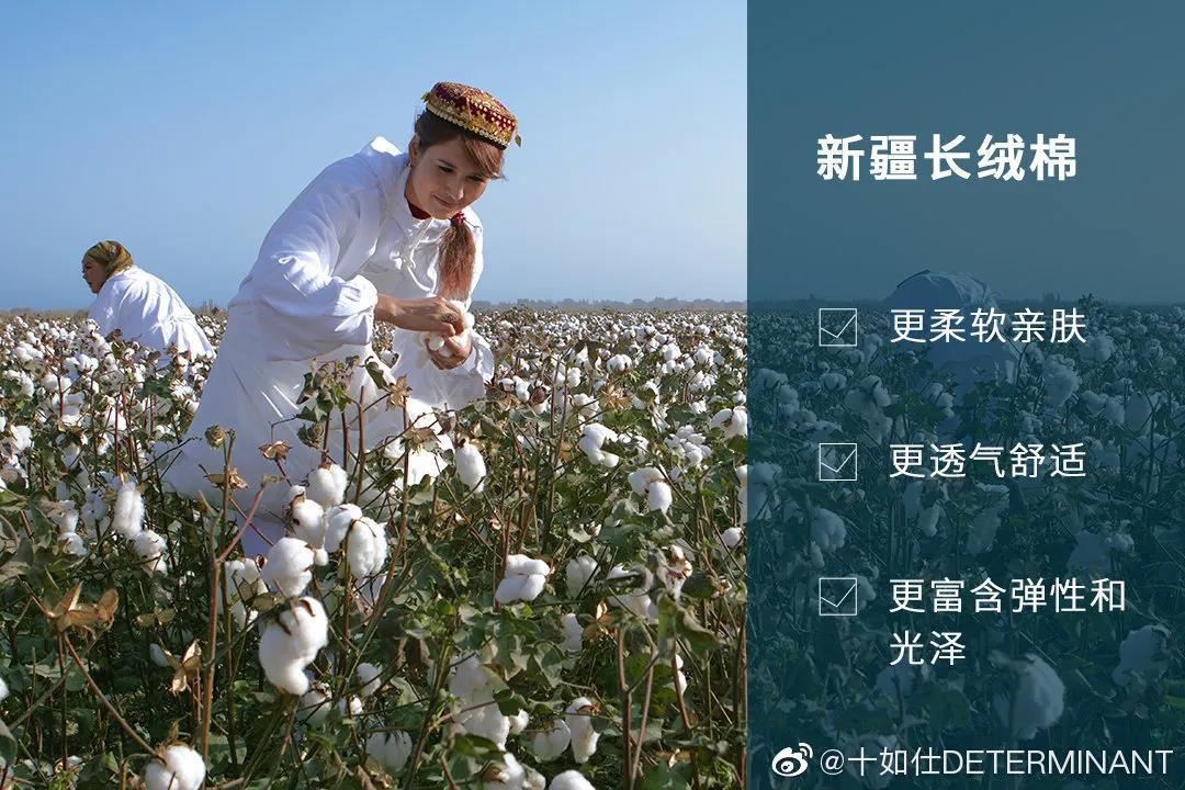 微信图片_20210330141509.jpg