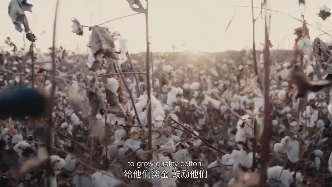 微信图片_20210408162802.jpg